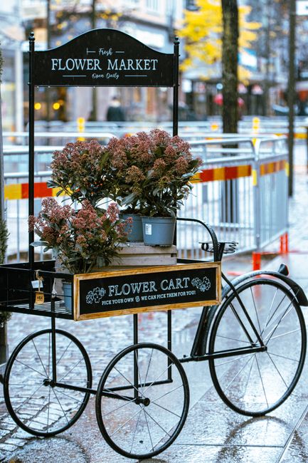 A vintage black bicycle with large wheels used as a floral cart parked outdoors near a cobblestone street, featuring a wooden sign reading 'Flower Cart,' topped with two potted hydrangea plants with p